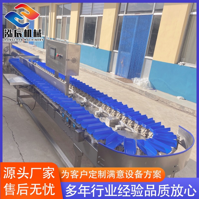 供应鱿鱼八爪重量分选机 牡蛎分拣机 生蚝多级分拣机 厂家供应