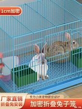 兔子笼家用兔笼室内带厕所特大号仓鼠笼豚鼠笼刺猬笼荷兰猪笼特价