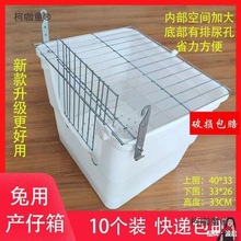 ��ֳ��ů�C�a�зN�������a������ĸ�����Ӯa���û\�����a��̫��
