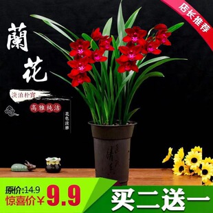 �m�����Ի��玧�������F��߅ī�m���m�������B�Ļ���ֲ���҃ȾGֲ