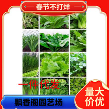 N߲˷NӷѽzSĿĲ˷N̨