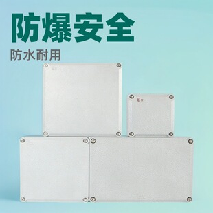 �������������Ӿ���ExdIIBT6Gb��ˮIP66�T�X���w���I���������