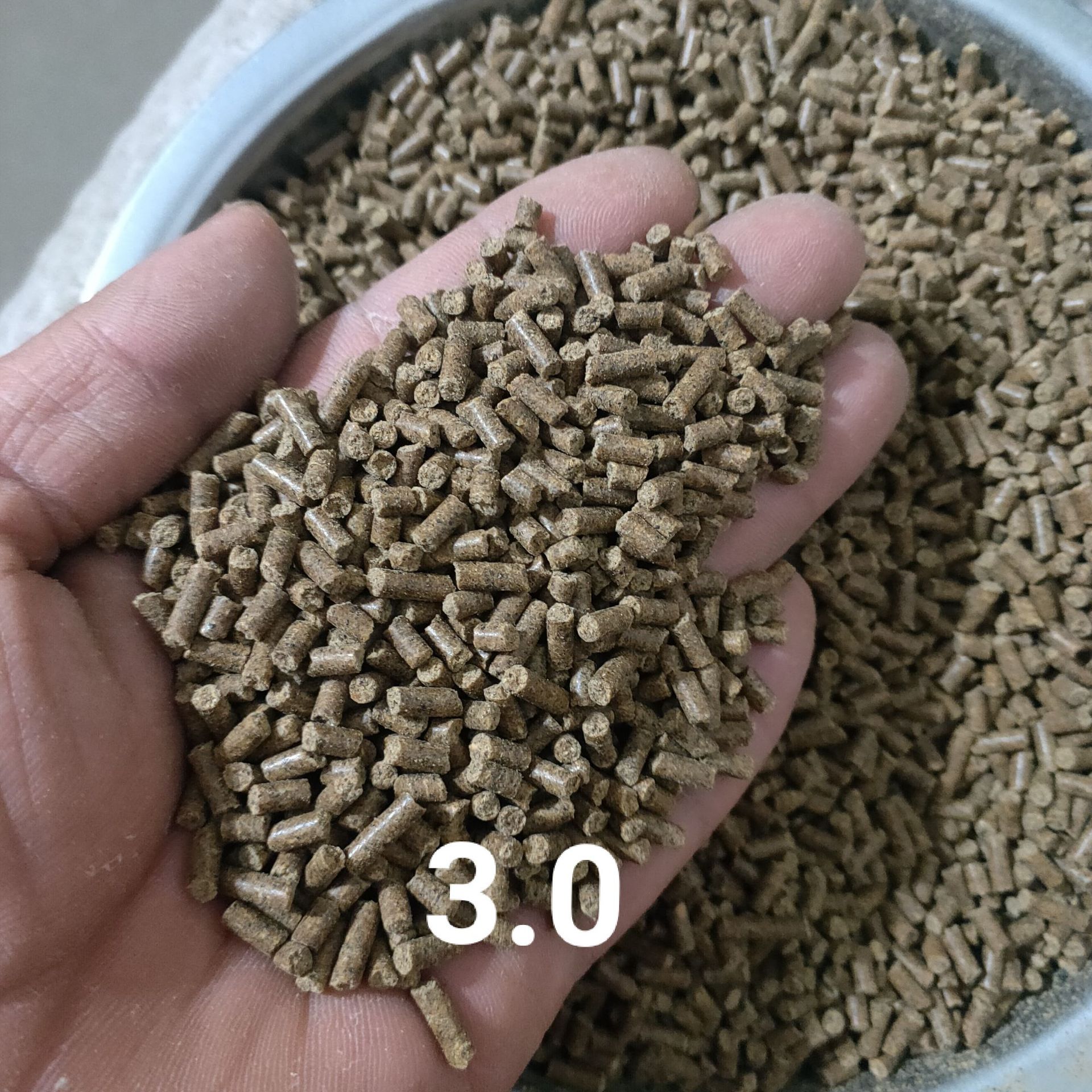 微信圖片_20211011034555