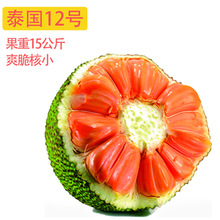 ���}�ۘ���̩���t��12̖8̖�R������1̖�S��t��޽Ӵ�䲤�}����