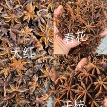 �o���u�����ϴ�ȫ�˽Ƕ���С���㻨���������l�u�����ϴ�ȫ