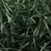 26# Army green