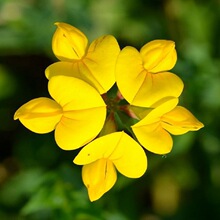 ���l���ݷN�Ӱ��}��.���~��ţ�ǻ��ݷN�����ݷN�Ӹ߮a���o�¹���