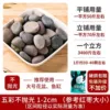 【50 catties】Colored rough stones
