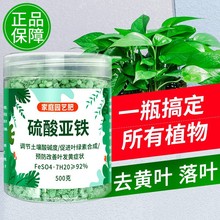 亚铁花用肥料养花绿萝发财树月季绣球栀子花三角梅专用肥包邮