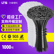 尼龙扎带工厂批发3*100*4*200*5*350*8*500自锁尼龙捆绑束线扎带