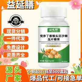 益延膳党参丁香猴头菇沙棘压片糖果官方旗舰店源头厂家批发代发