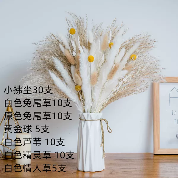 HS80