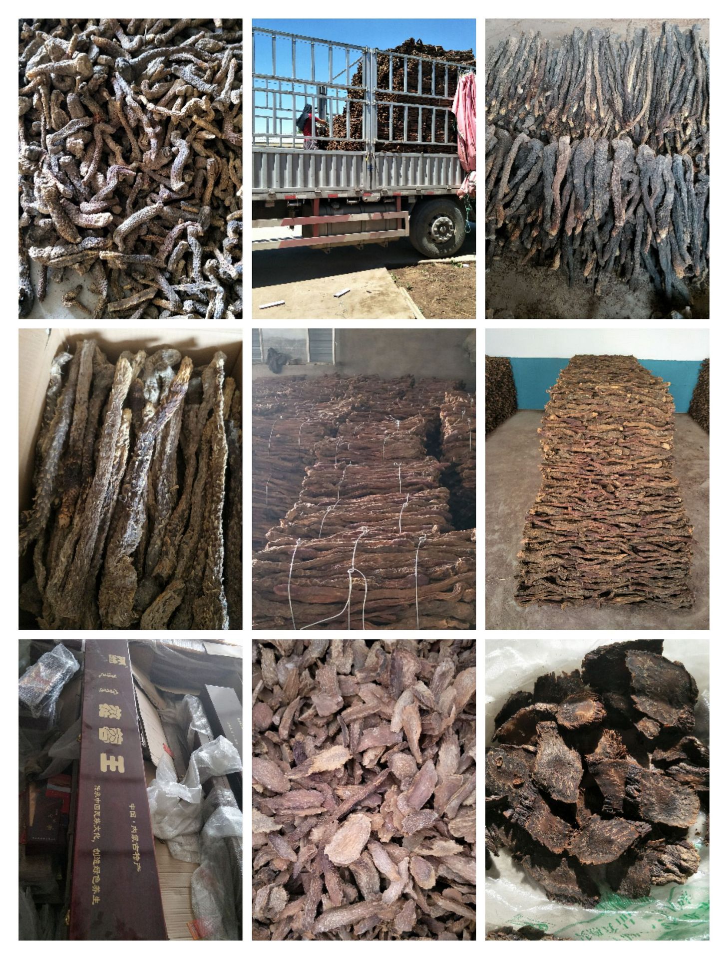 Alxa Desert Cistanche Slices Rich Oily Texture for Soup Wine and Tea Traditional TCM Herbal Tonic 250g in use