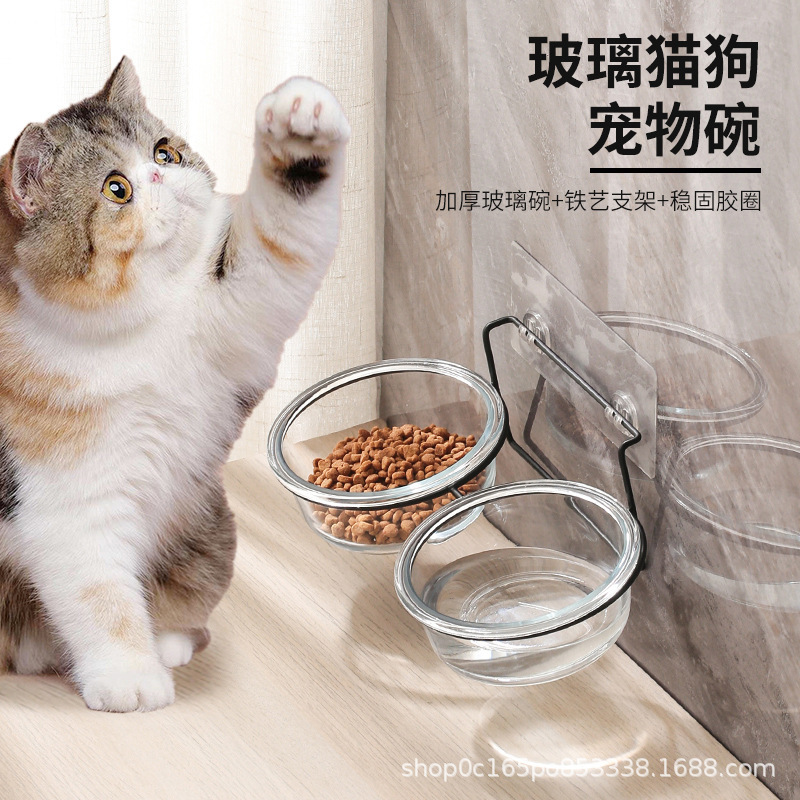 ガラスの猫の碗のペットは食糧を食べて水を飲みます。|undefined