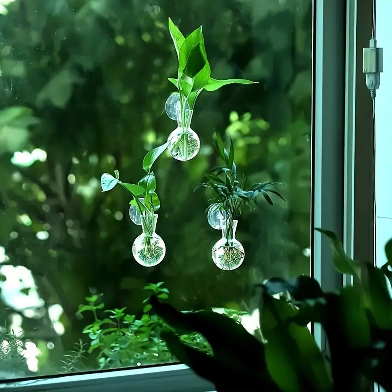 現代壁掛け式水培花瓶透明水養生け花壁に植木鉢緑羅水培器植物装飾|undefined