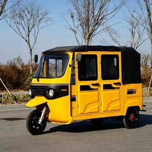 Fully enclosed fuel-powered passenger tricycle, used for urban transportation in Southeast Asia, cross-border export, yellow