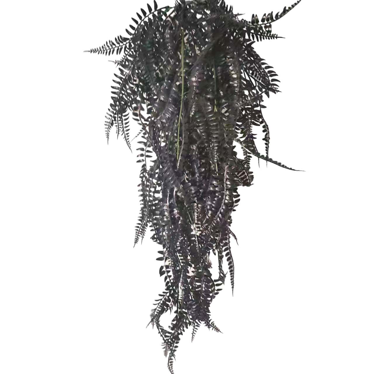 微信图片_20230919133705