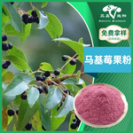 马基莓果粉马基莓粉Maquiberry食品果蔬粉马奇果粉智利酒果原料
