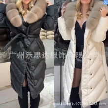 2025�����Q���R�d����վŮ�bë�I���|���e�L���Bñ���|�A���޷�