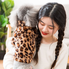 New Autumn and Winter Clothes for Pet Dogs Bichon Teddy Leopard Print Pet Transformation Clothes Trendy Brand Dog Clothes Manufacturer