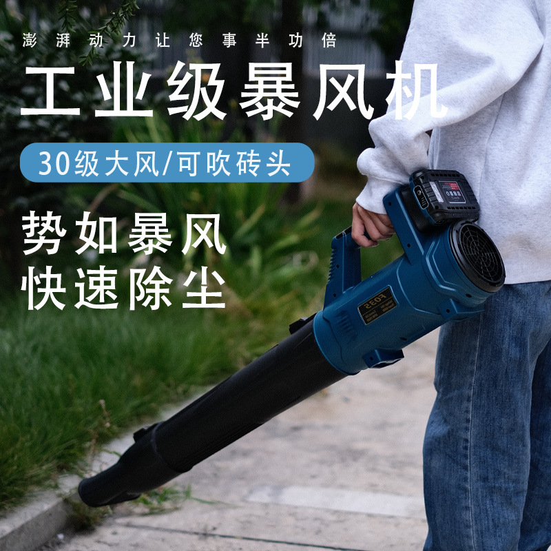Cross-Border New Powerful High-Power Industrial Hair Dryer Lithium Battery Snow Blower Suction Dust Blower Dust Removal Machine