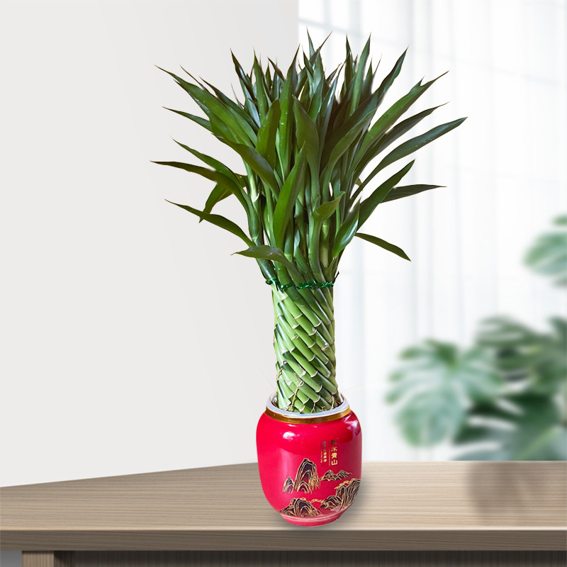 ΢��ͼƬ_20220909003523