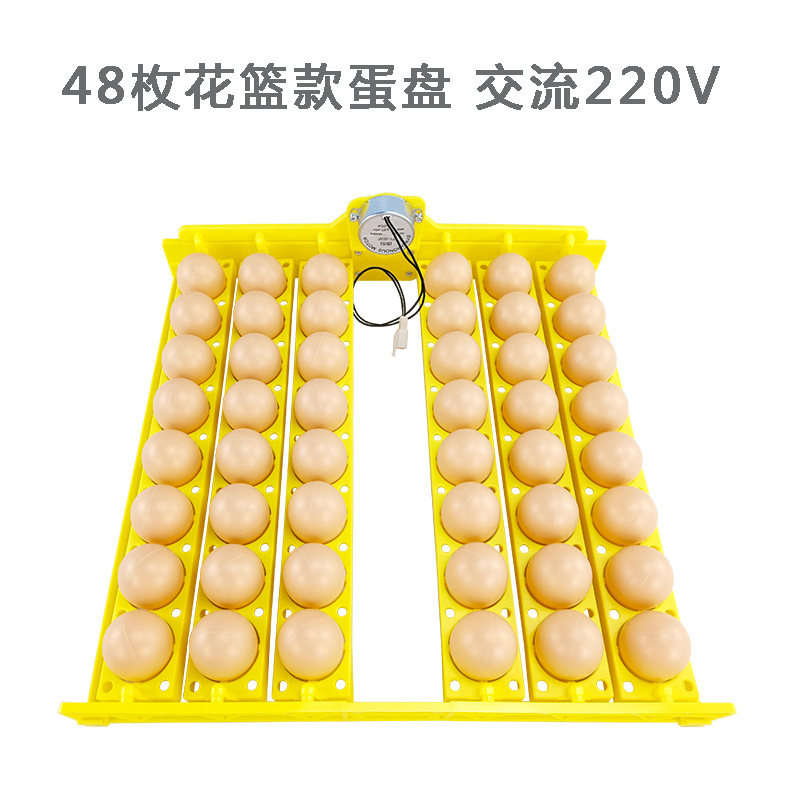 48 Placa de huevo de codorniz de pato de pollo huevo automático torneado pequeño hogar mini incubadora Placa de huevo con motor suministro transfronterizo