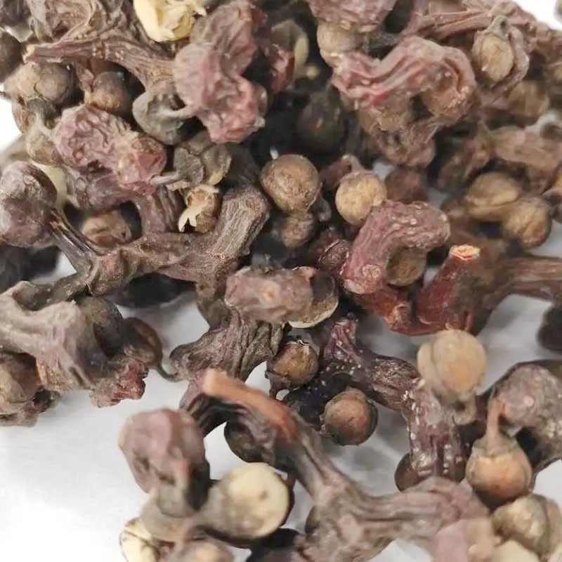 Gou Zao (Hovenia dulcis) — Dried Japanese Raisin Tree Fruit for Herbal Tea & Soup key features