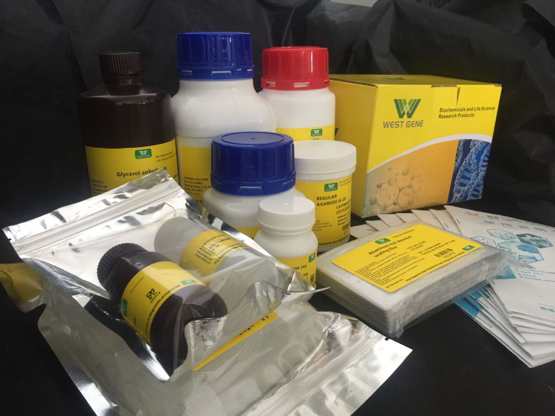 一步法细菌基因组 DNA 提取试 剂盒