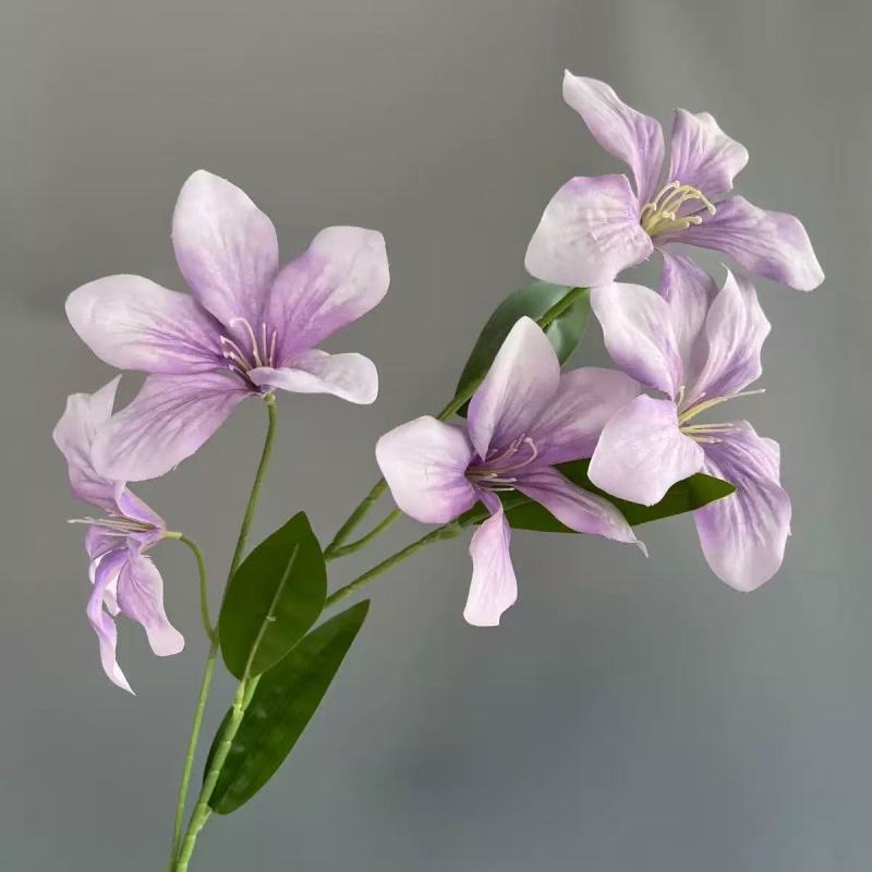 5 화염 난초 - 연한 보라색