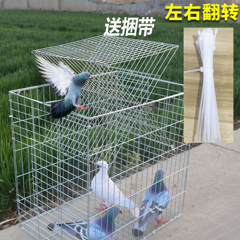新款镀锌升级版DIY拼装旋转安装翻板笼46高35宽46长网孔2.2厘米|undefined