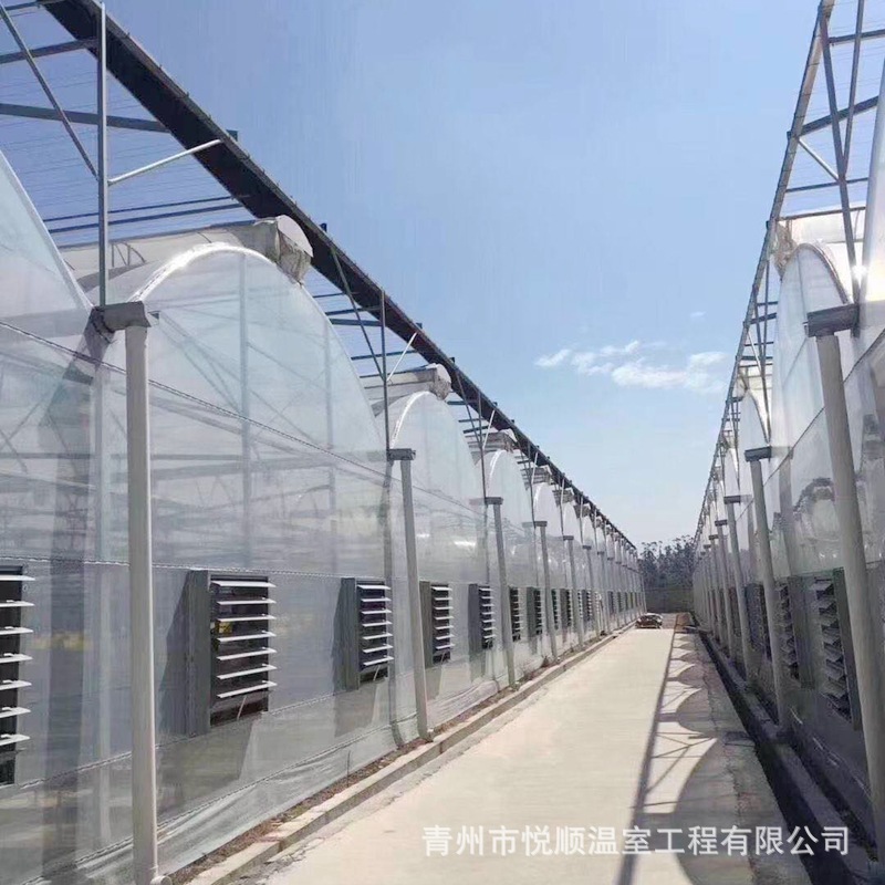 连栋温室大棚骨架厂家直供花卉养殖大棚批发薄膜日光温室大棚工程