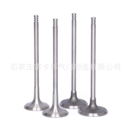 气门及部件;气门部件;油封