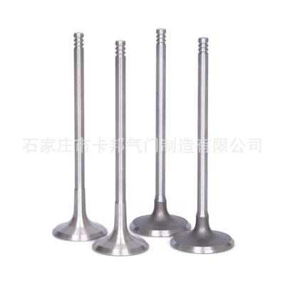 Yutong – 55599817 12625566 Intake Valve components