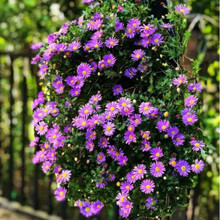 СջN̨҃ͥԺԴջܻѴļ ׻