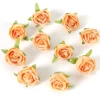 European style roses