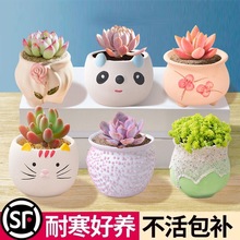 ֲM¶մɻkһܾGֲk̨ͯ