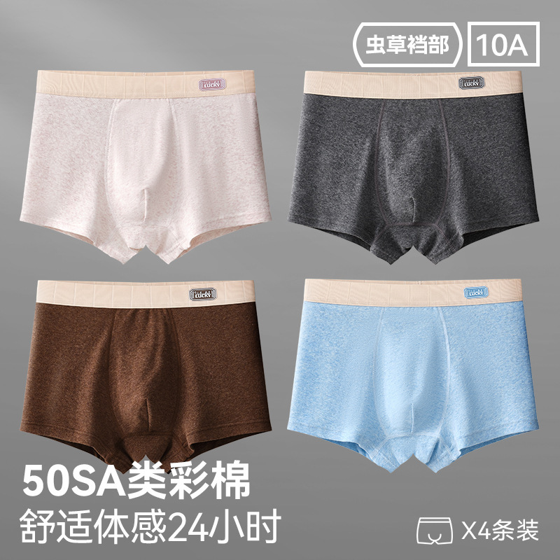 96027-그레이 퍼플+잉크 그레이+다크 커피+스카이블루