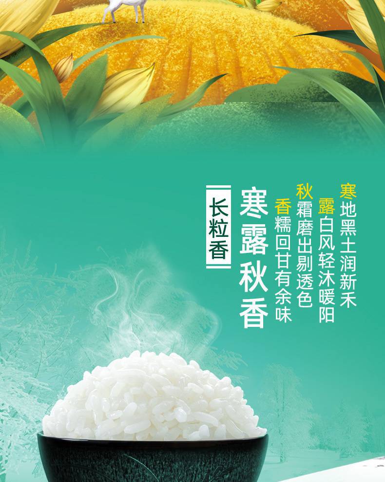 967b79f1-88e0-403d-ab75-c99c0569e625.jpe