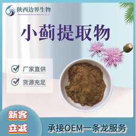 小蓟提取物10：1比例萃取浸膏粉保健品植物中草药植物萃取