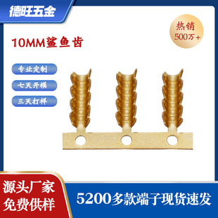 10mm���~�X���� ���l�S�~���~�X���X����U����X���B�m��������