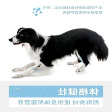 边牧专用狗粮 边境牧羊犬小幼犬成犬美毛补钙奶糕粮斤装