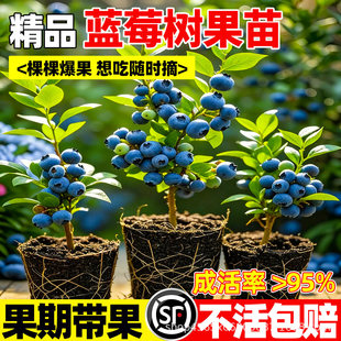 �{ݮ�������ڎ����ϱ����Nֲ�ļ��Y���ش�̖�҃Ȼ����������
