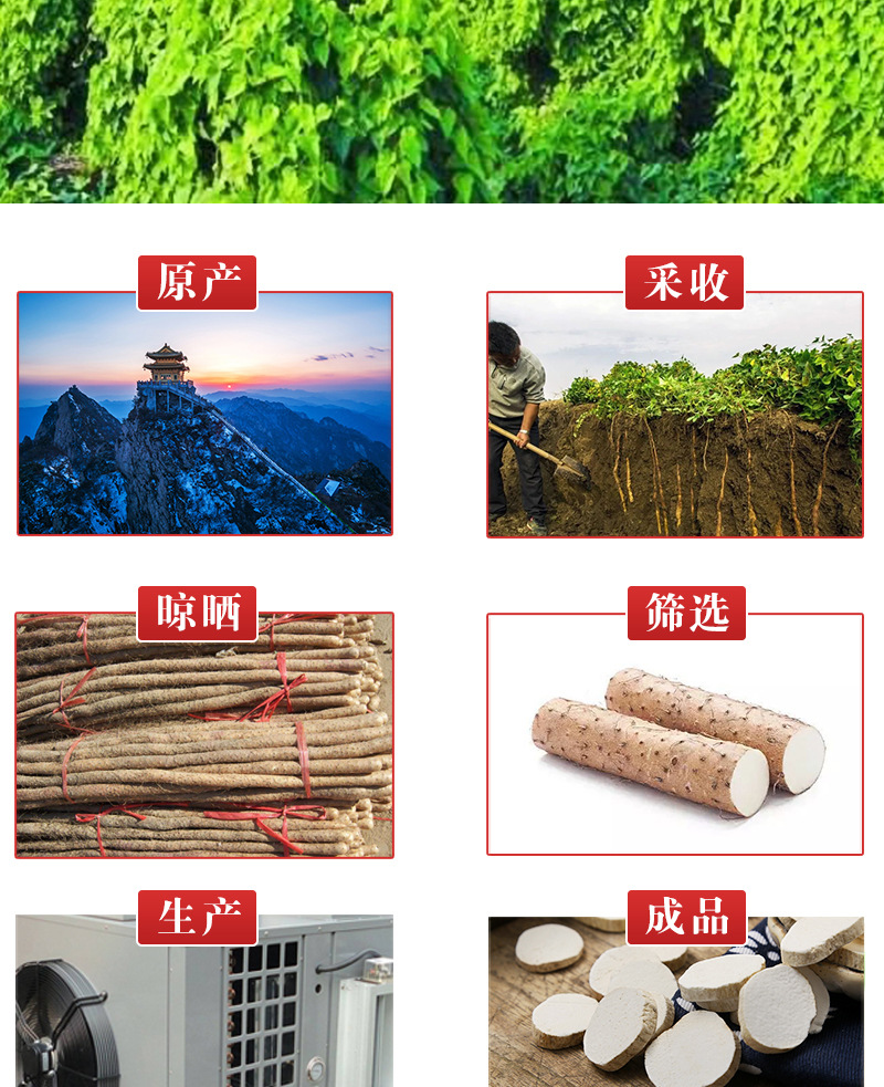 Tie Gun Shan Yao Slices (Dioscorea polystachya) — Dried Chinese Yam Round Slices, 500g specifications