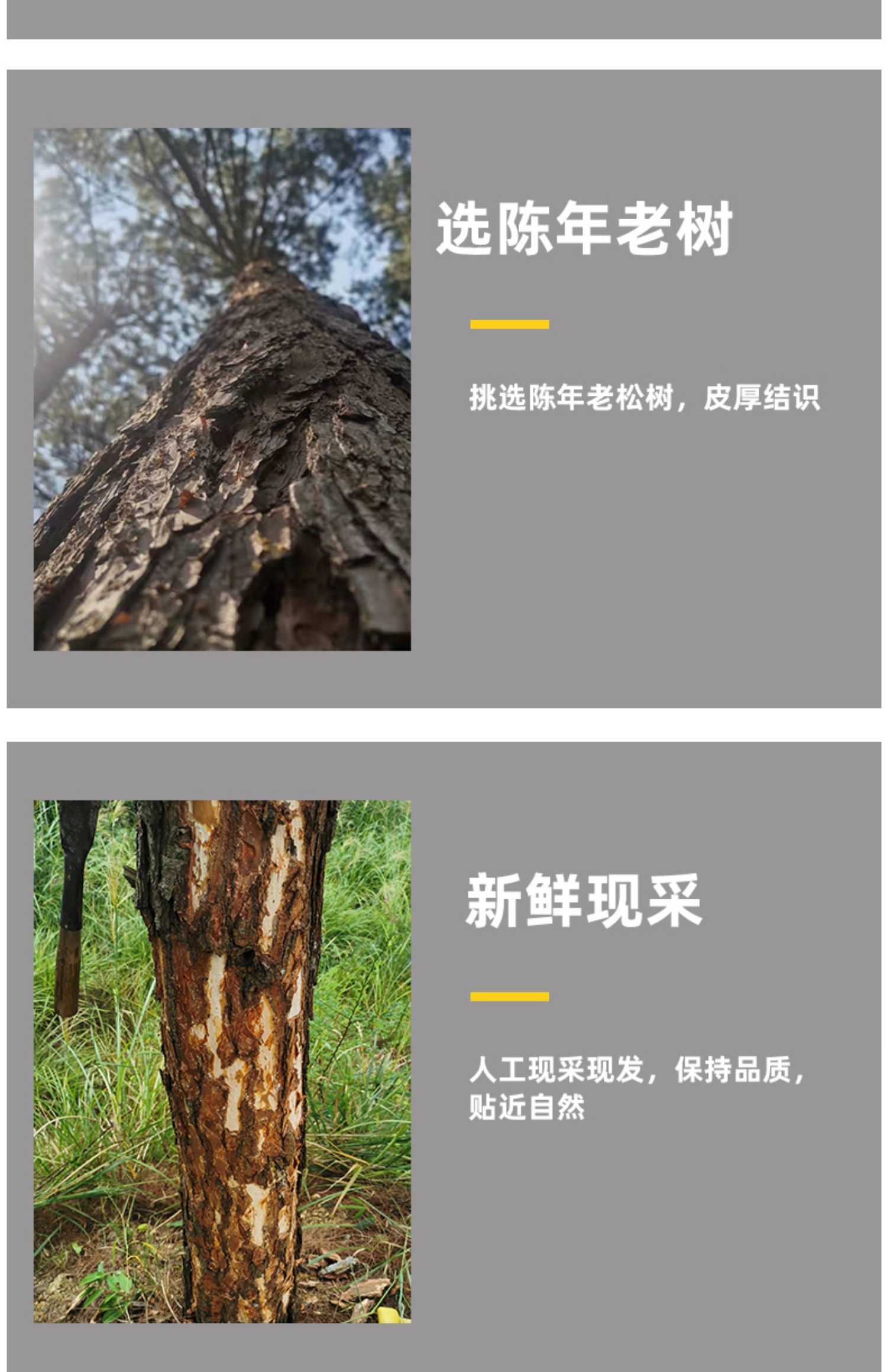 松树皮松鳞片树木花坛营养土介质覆盖物大块花盆垫材松皮原材包邮-阿里巴巴
