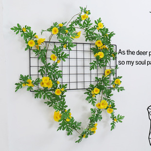 ���l�ٻ����滨�ٗl���滨�� �������r�ջ��l�b����ϻ����տ�