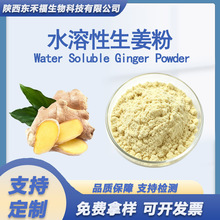 ˮ����������������ȡ��Ginger Powder��s������֭�� ������ 1kg