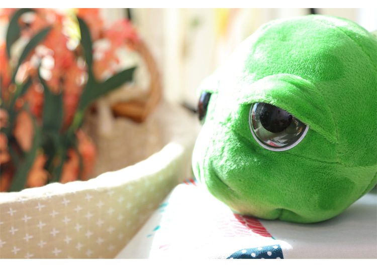 Big Eye Turtle Plush Toy in 30CM