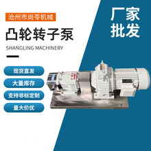 食品输送供料齿轮泵凸轮酱料糖蜜转子泵火锅底料高粘稠