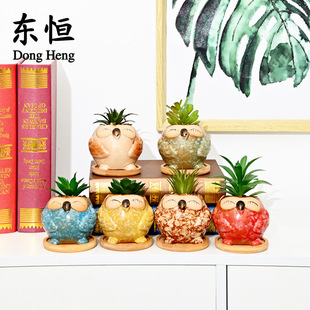 �|�a ���Q�羳���n�����մɶ��⻨��؈�^���M���������b��������